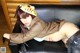 Cosplay Mikoshiba - Amamiya Nude Doggy P10 No.402868 Image No. 5