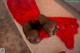 A pair of feet in black stockings on a red rug.